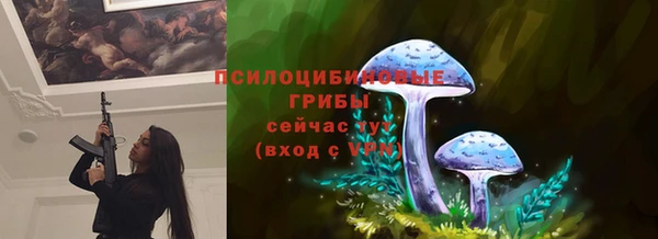 винт Переславль-Залесский